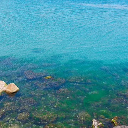 아파트 Flat Lora 포마리